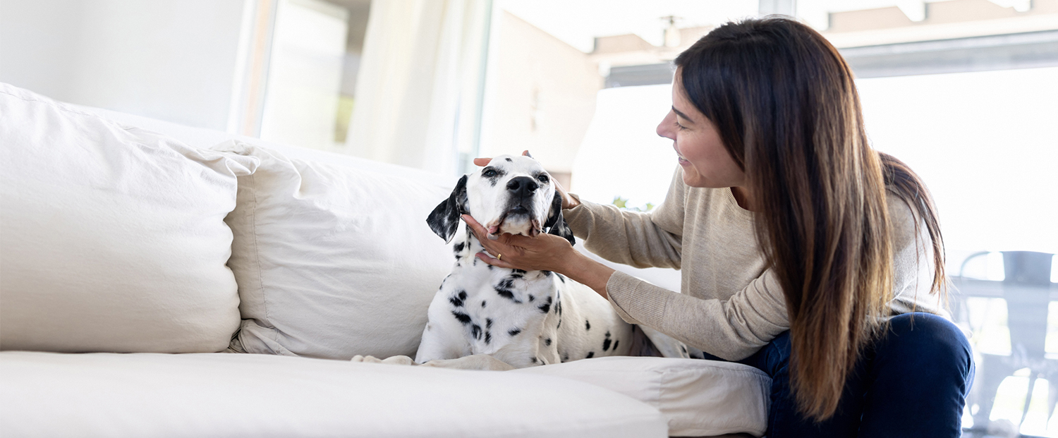 New York Pet Insurance Coverage